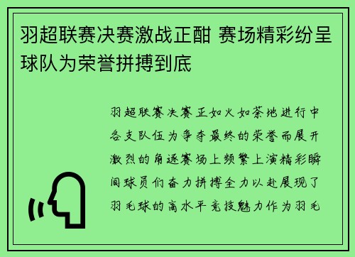 羽超联赛决赛激战正酣 赛场精彩纷呈球队为荣誉拼搏到底