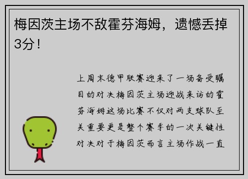 梅因茨主场不敌霍芬海姆，遗憾丢掉3分！