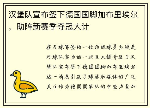 汉堡队宣布签下德国国脚加布里埃尔，助阵新赛季夺冠大计